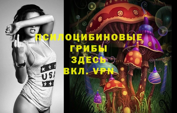 гидропоника Богородск