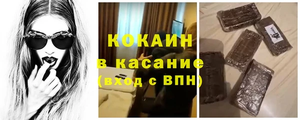 трава Богородицк