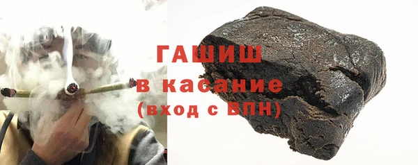 индика Белокуриха
