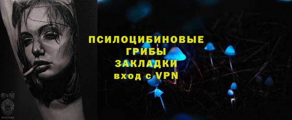 кокаин Богданович