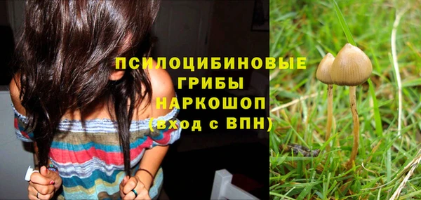 ПСИЛОЦИБИНОВЫЕ ГРИБЫ Балабаново