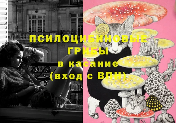 соль курить ск Сясьстрой