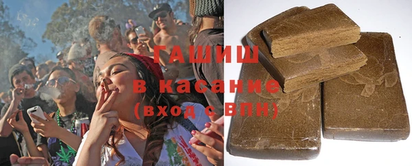 индика Белокуриха