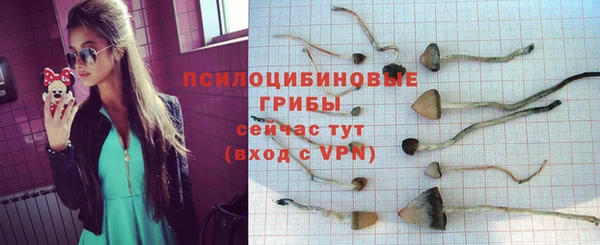 кокаин Богданович
