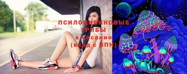 трава Богородицк